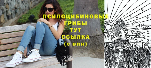 ГАЛЛЮЦИНОГЕННЫЕ ГРИБЫ Верея