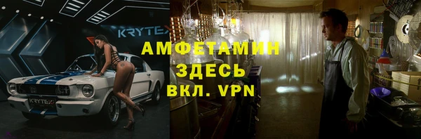 ГАЛЛЮЦИНОГЕННЫЕ ГРИБЫ Верея
