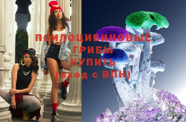 ГАЛЛЮЦИНОГЕННЫЕ ГРИБЫ Верея