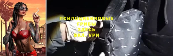 ГАЛЛЮЦИНОГЕННЫЕ ГРИБЫ Верея