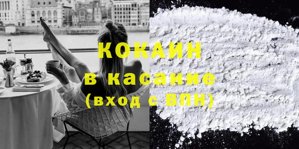 ГАЛЛЮЦИНОГЕННЫЕ ГРИБЫ Верея