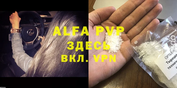 ГАЛЛЮЦИНОГЕННЫЕ ГРИБЫ Верея